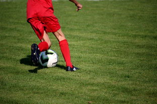 星空国际体育-中国篮球俱乐部青训体系绩效评估方法，篮球俱乐部青训营